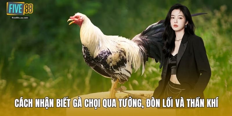 cach nhan biet ga choi anh dai dien