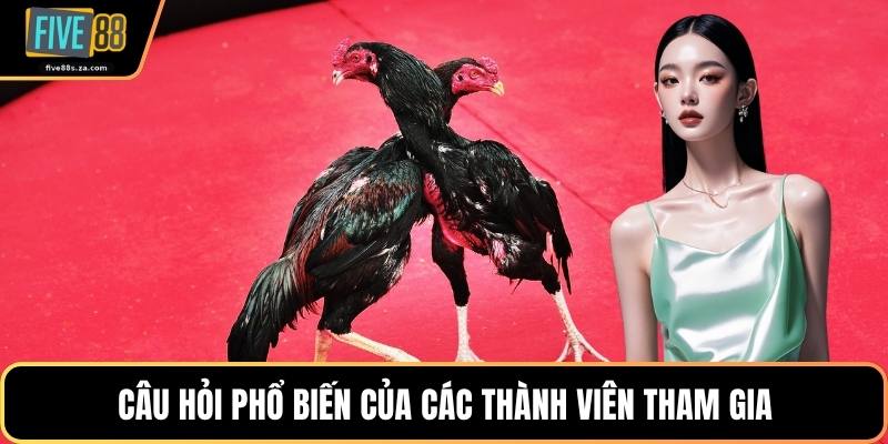 Câu hỏi phổ biến của các thành viên tham gia