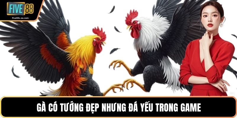 Gà có tướng đẹp nhưng đá yếu trong game