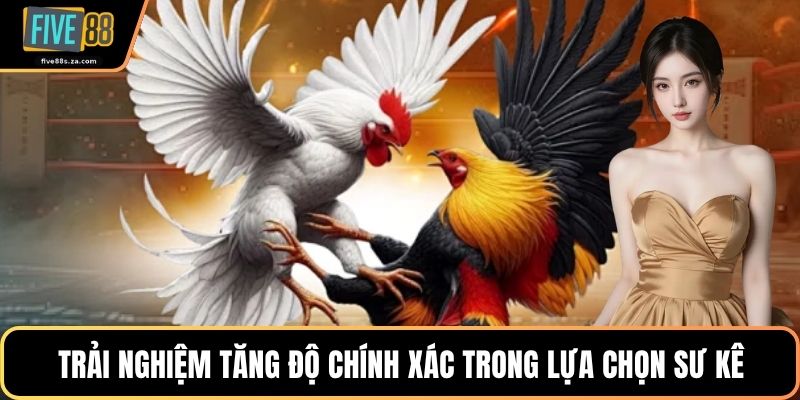 Trải nghiệm tăng độ chính xác trong lựa chọn sư kê